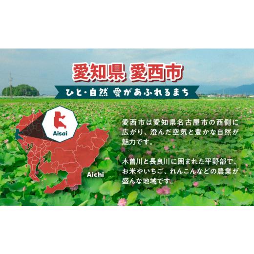 ふるさと納税 家具 本棚・ラック・カラーボックス 愛知県 愛西市  受注生産 木製 組み立てオープンラック 収納 収納家具 インテリア／サシヨシ工業株式会社 AE…の画像