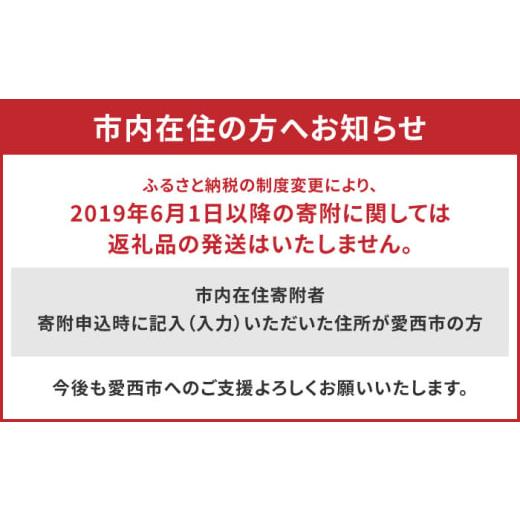 ふるさと納税 家具 本棚・ラック・カラーボックス 愛知県 愛西市  受注生産 木製 組み立てオープンラック 収納 収納家具 インテリア／サシヨシ工業株式会社 AE…の画像