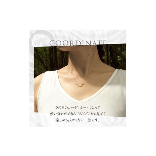 ふるさと納税 アクセサリー ネックレス 山梨県 北杜市 K10 DRIP ダイヤモンド　ネックレス K10YG ネックレス ダイヤ ペンダント アクセサリー ジュエリー レデ…の画像