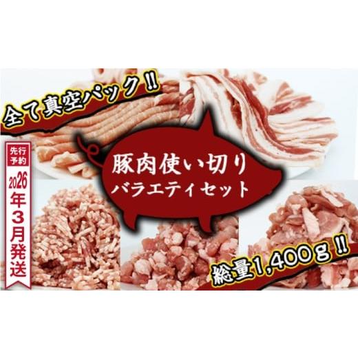 ふるさと納税 豚肉 セット 岩手県 滝沢市 [ 2026年 3月発送] 国産 四元豚 使い切り 小分け バラエティセット 真空パック 総量 1400g / ありすぽーく 豚 肉 …