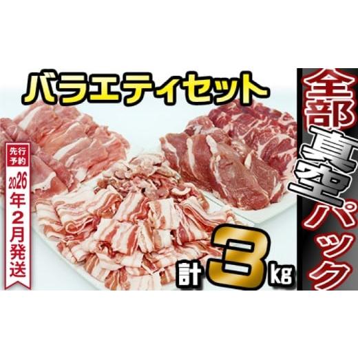 ふるさと納税 豚肉 セット 岩手県 滝沢市 [ 2026年 2月発送] 国産 四元豚 おまかせカット バラエティセット 真空パック 総量 3000g / ありすぽーく 豚 肉 …