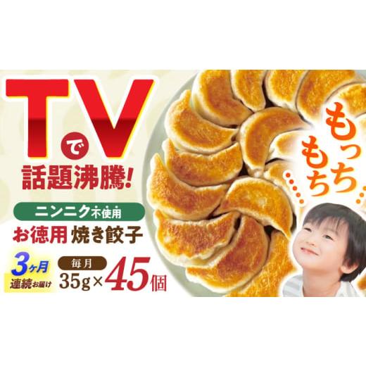 ふるさと納税 餃子 長崎県 諫早市 3回定期便 [餃子のかわしも]かわしも焼き餃子お徳用45個入りパッケージ