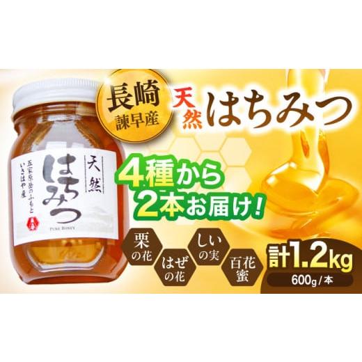 ふるさと納税 加工品等 はちみつ 長崎県 諫早市 長崎県産天然はちみつ600g×2本セット / 百花蜜 百花蜂蜜 蜂蜜 はちみつ ハチミツ / 諫早市 / 坂口養蜂 AH…
