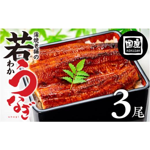 ふるさと納税 うなぎ 愛知県 豊橋市 通常お届け 国産若うなぎ 3尾 老舗 国産うなぎ セット 詰め合わせ 蒲焼 ウナギ 3尾うなぎ 鰻 ウナギ unagi 土用 丑の日 …