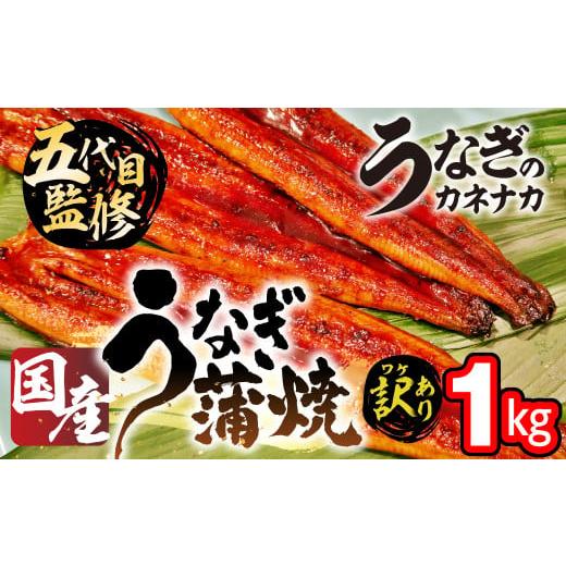 ふるさと納税 うなぎ 愛知県 豊橋市 訳あり 国産 うなぎ 1kg 蒲焼 うなぎ 愛知県 お届け内容:訳あり 1kg 通常お届け
