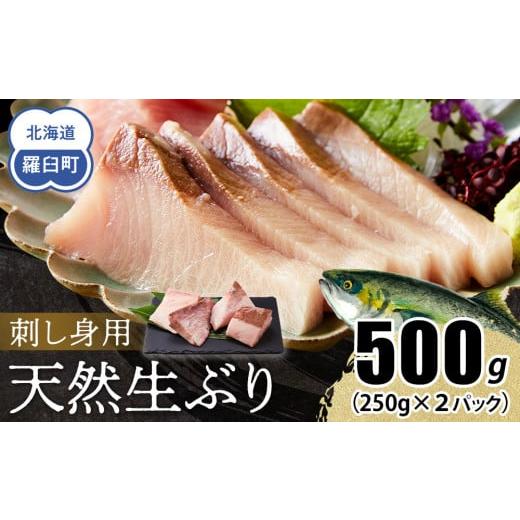 ふるさと納税 旬の鮮魚等 北海道 羅臼町 2025年12月発送 北海道 知床羅臼産 天然ぶり刺身 500g (250g×2パック) 魚 海産物 魚介 魚介類 ブリ 鰤 刺身 ご飯の…