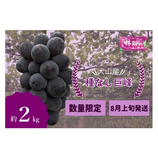 ふるさと納税 ぶどう 巨峰 愛知県 犬山市 19-14_ 期間限定・数量限定 犬山産 完熟 種なし巨峰 約2キロ (先行予約) | ぶどう 甘い 2キロ 限定 夏 林ファーム …