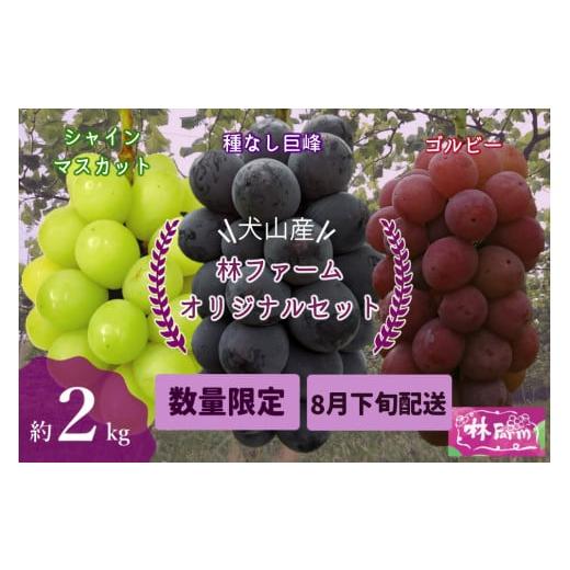 ふるさと納税 ぶどう マスカット 愛知県 犬山市 24-9_ 期間限定・数量限定 犬山産 シャインマスカット入り林ファームオリジナルセット 約2キロ (先行予約) …
