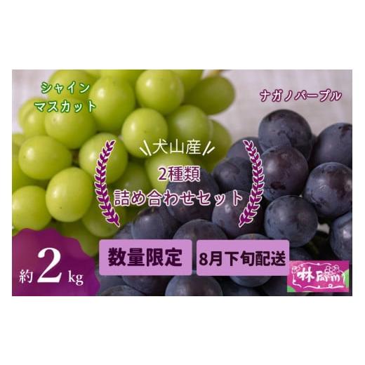 ふるさと納税 ぶどう マスカット 愛知県 犬山市 25-11_ 期間限定・数量限定 犬山産 シャインマスカット&ナガノパープル2種類詰め合わせ 約2キロ(先行予約)…