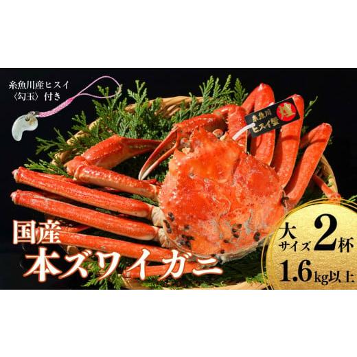 ふるさと納税 カニ ずわいガニ 新潟県 糸魚川市 [期間限定]本ズワイガニ 大800g以上×2杯 計1.6kg以上 [ヒスイ勾玉付き] 『煌めき』 姿 蒸し蟹 糸魚川産 …