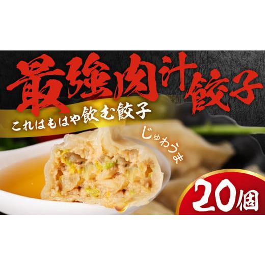 ふるさと納税 惣菜・レトルト 冷凍 愛知県 豊橋市 とよはし『最強肉汁餃子』20個入り 20個入り(折箱タイプ1箱)
