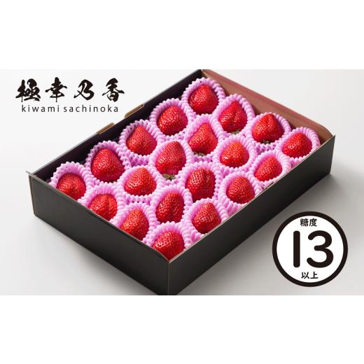 ふるさと納税 いちご 熊本県 宇土市 74-49_02 2月発送 園村苺園 糖度13度以上保証 ブランド苺「極幸乃香(きわみさちのか)」 2月発送