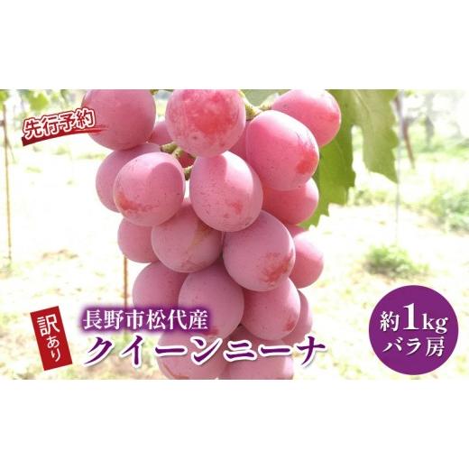 ふるさと納税 ぶどう 長野県 長野市 ぶどう 長野市松代産 訳ありクイーンニーナ 約1kg バラ房 葡萄 ブドウ 果物 フルーツ デザート おやつ TAKANO農園 信州 果…