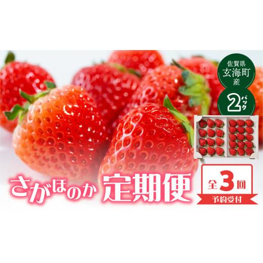 ふるさと納税 いちご 佐賀県 玄海町 予約受付 杉山いちご農園 佐賀県玄海町産「さがほのか」毎月定期便 / 送料無料 さがほのか 苺 いちご イチゴ 希少 果物 …