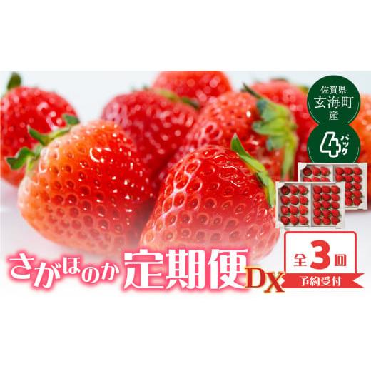 ふるさと納税 いちご 佐賀県 玄海町 予約受付 杉山いちご農園 佐賀県玄海町産「さがほのかDX」毎月定期便 / 送料無料 さがほのか 苺 いちご イチゴ 希少 果…