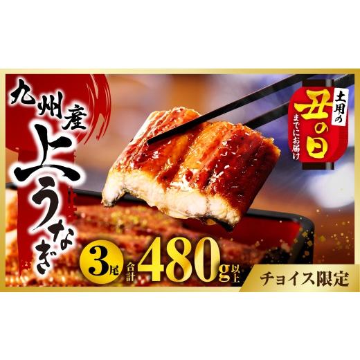 ふるさと納税 うなぎ 宮崎県 宮崎市 丑の日までにお届け 九州産うなぎ蒲焼3尾(計480g以上&さんしょう、たれ付き)_M040-012-ID-U 丑の日までにお届け予定