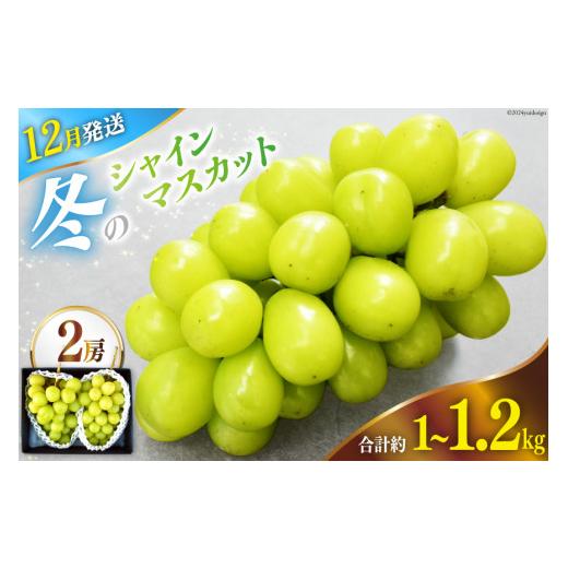 ふるさと納税 ぶどう マスカット 山梨県 韮崎市 シャインマスカット 先行予約 魅惑のおいしさ 冬のシャインマスカット 2房 (1.0kg〜1.2kg相当) 2026年12月発送…の画像