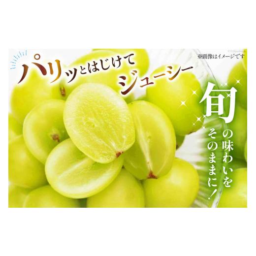 ふるさと納税 ぶどう マスカット 山梨県 韮崎市 シャインマスカット 先行予約 魅惑のおいしさ 冬のシャインマスカット 2房 (1.0kg〜1.2kg相当) 2026年12月発送…の画像