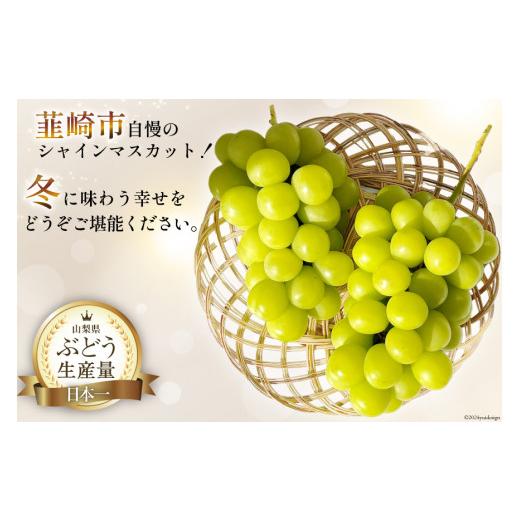 ふるさと納税 ぶどう マスカット 山梨県 韮崎市 シャインマスカット 先行予約 魅惑のおいしさ 冬のシャインマスカット 2房 (1.0kg〜1.2kg相当) 2026年12月発送…の画像