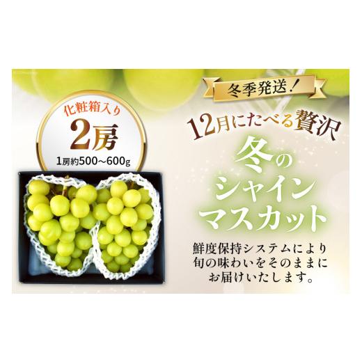 ふるさと納税 ぶどう マスカット 山梨県 韮崎市 シャインマスカット 先行予約 魅惑のおいしさ 冬のシャインマスカット 2房 (1.0kg〜1.2kg相当) 2026年12月発送…の画像