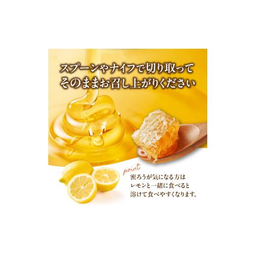 ふるさと納税 加工品等 はちみつ 福岡県 八女市  TVで紹介 はちみつ 国産純粋蜂蜜 極巣みつ 310g 非加熱 はちみつ ハチミツ 生はちみつ ローハニー オススメ …の画像