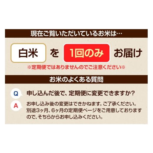 ふるさと納税 米 コシヒカリ 群馬県 沼田市  白米 令和7年産 真田のコシヒカリ小松姫 プレミアム 30kg（5kg×6袋）金井農園 こしひかり コシヒカリ 白米 精米 …_4