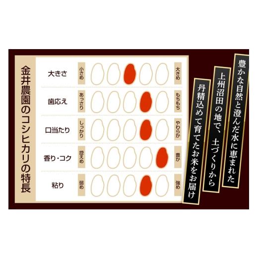 ふるさと納税 米 コシヒカリ 群馬県 沼田市  白米 令和7年産 真田のコシヒカリ小松姫 プレミアム 30kg（5kg×6袋）金井農園 こしひかり コシヒカリ 白米 精米 …_7
