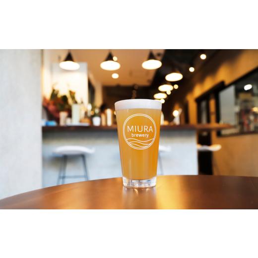 ふるさと納税 ビール 地ビール 神奈川県 三浦市  全3回定期便 三浦ブルワリー クラフトビール 12本飲み比べセット M110-T03の画像