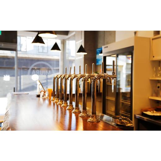 ふるさと納税 ビール 地ビール 神奈川県 三浦市  全3回定期便 三浦ブルワリー クラフトビール 12本飲み比べセット M110-T03の画像