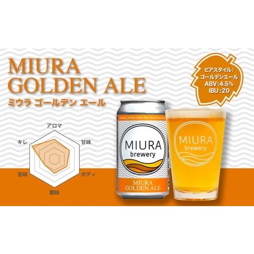 ふるさと納税 ビール 地ビール 神奈川県 三浦市  全3回定期便 三浦ブルワリー クラフトビール 12本飲み比べセット M110-T03の画像