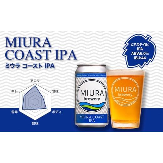 ふるさと納税 ビール 地ビール 神奈川県 三浦市  全3回定期便 三浦ブルワリー クラフトビール 12本飲み比べセット M110-T03の画像
