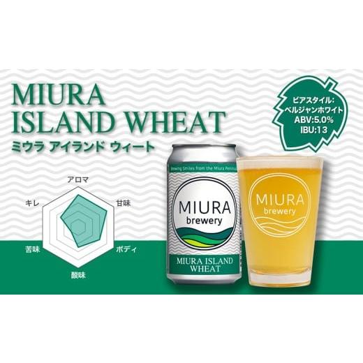 ふるさと納税 ビール 地ビール 神奈川県 三浦市  全3回定期便 三浦ブルワリー クラフトビール 12本飲み比べセット M110-T03の画像