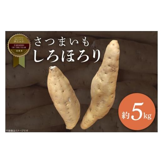 ふるさと納税 野菜類 サツマイモ 茨城県 行方市 2025年11月より順次発送 2025年度産 さつまいも しろほろり 約5kg|さつまいも 芋 お芋 しろほろり 渋谷農園 …