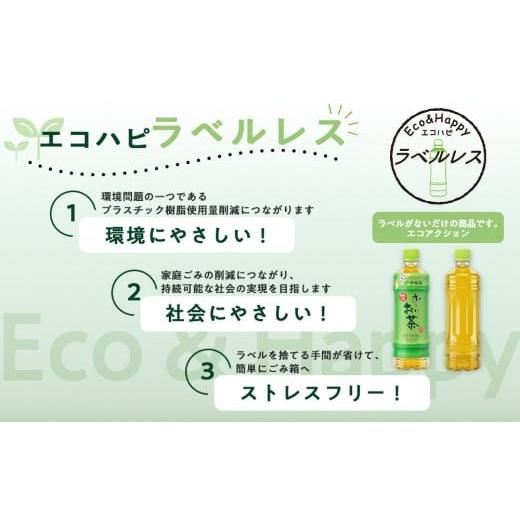 ふるさと納税 お茶類 緑茶（飲料） 静岡県 御前崎市 定期便6ヶ月 お〜いお茶　緑茶　ラベルレス　600ml×24本　訳あり　おーいお茶 ペットボトル ぺットボト…_2