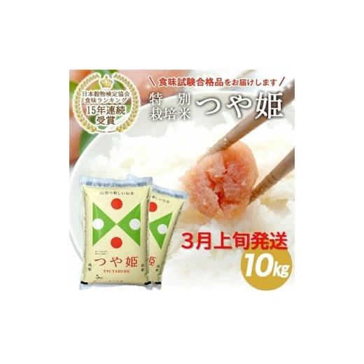 ふるさと納税 米 つや姫 山形県 酒田市 3月上旬配送/令和7年産 精米 山形県産 特別栽培米 つや姫 10kg(5kg×2袋) JS SE0440 令和8年3月上旬配送