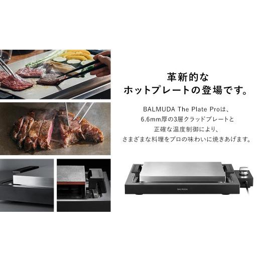 ふるさと納税 キッチン家電 東京都 武蔵野市 バルミューダ BALMUDA The
