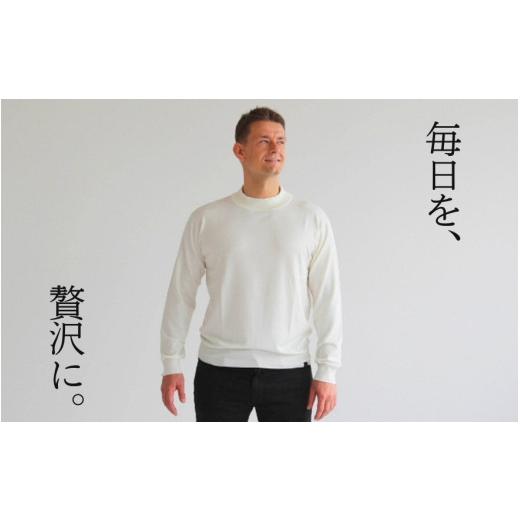ふるさと納税 服 男 新潟県 五泉市 洗える セーター モックネック ( ブラック M ) ニット シルク100％ メンズ | 長袖 ニット ウォッシャブル 秋冬 秋 冬 シン…の画像