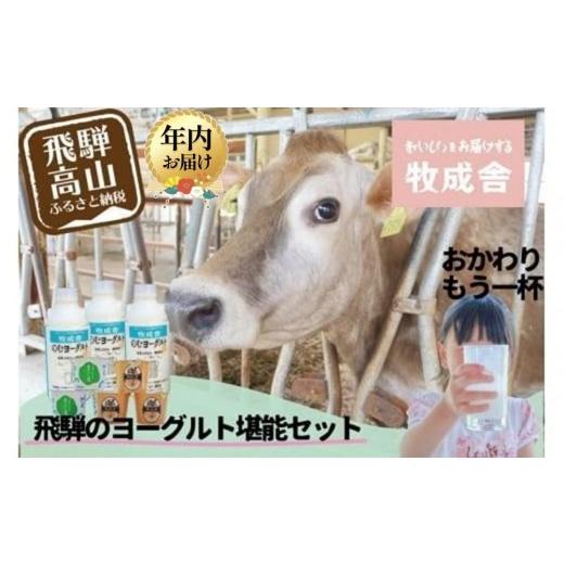 ふるさと納税 菓子 ヨーグルト 岐阜県 高山市 寄附額見直しました 12月配送 『牧成舎』 飛騨のヨーグルト堪能セット (ヨーグルト2種 / 飲むヨーグルト1種)…