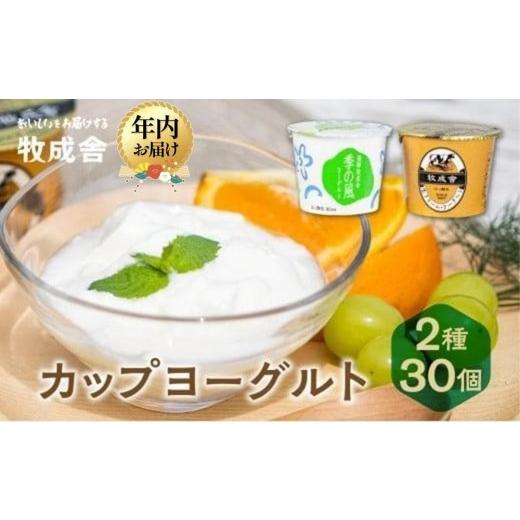 ふるさと納税 菓子 ヨーグルト 岐阜県 高山市 寄附額見直しました 12月配送 牧成舎 飛騨の牛乳屋のこだわりヨーグルト (30個セット) | 年内発送 おいしい ヨ…