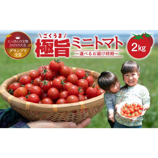 ふるさと納税 トマト ミニトマト 愛知県 田原市 グランプリ受賞 完熟 出汁推し実 ミニトマト 2kg 通常配送 グランプリ受賞 完熟 出汁推し実 ミニトマト 2kg