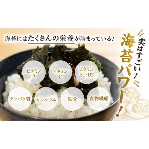 ふるさと納税 乾物 のり 愛知県 田原市 訳あり 焼海苔 100枚 ( 10枚