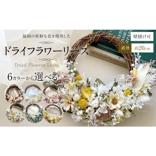 ふるさと納税 雑貨・日用品 インテリア 福岡県 直方市 ホワイトベージュ 福岡の新鮮な花を使用した ドライフラワー リース | 花 お花 はな インテリア アレ…