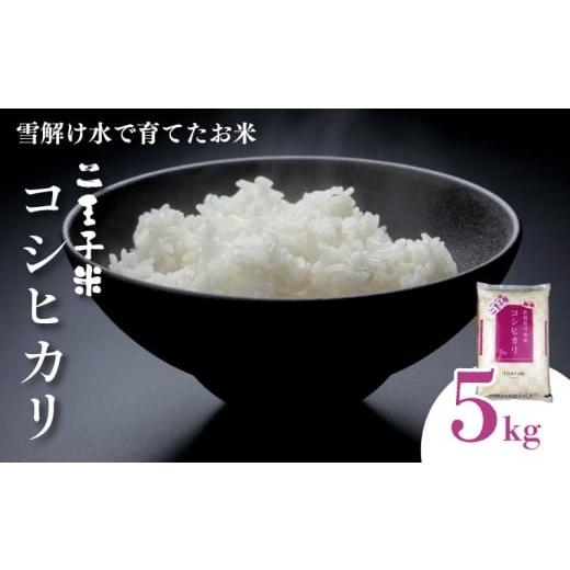 ふるさと納税 米 コシヒカリ 新潟県 新発田市 令和7年産 新潟県産 コシヒカリ 5kg 数量限定 特別栽培米 二王子米 新潟産 新潟米 新発田産 新発田 お米 米 kome…