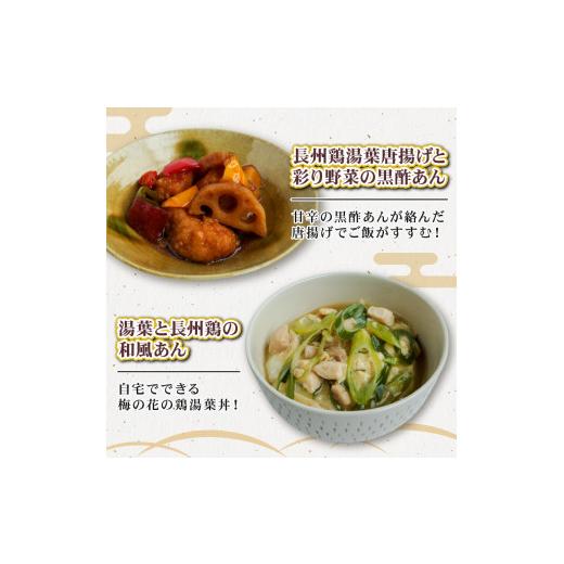 ふるさと納税 惣菜・レトルト 冷凍 京都府 -  全3回定期便 梅の花 お惣菜セット 定期便 定期 お惣菜 惣菜 詰め合わせ 詰合せ 食べ比べ セット 小分け 個包装 …_2