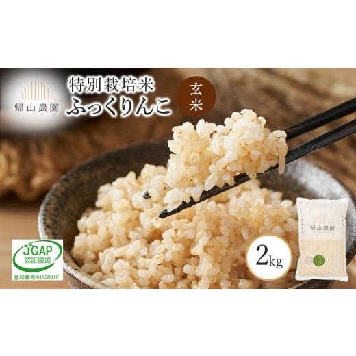 ふるさと納税 米 北海道 知内町 玄米 ふっくりんこ 2kg特別栽培米産地直送[帰山農園]