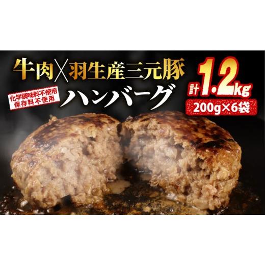 ふるさと納税 肉 ハンバーグ 埼玉県 羽生市 大判ハンバーグ ハンバーグ 牛肉 豚肉 あいびき 1.2kg 小分け 個包装 大判ハンバーグ 惣菜 冷凍 合挽きハンバーグ …