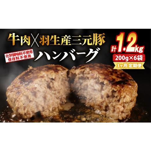 ふるさと納税 肉 ハンバーグ 埼玉県 羽生市 定期便 大判ハンバーグ ハンバーグ 牛肉 豚肉 あいびき 1.2kg×3回 定期便 小分け 個包装 大判ハンバーグ 惣菜 冷…