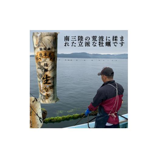 ふるさと納税 牡蠣 生牡蠣 宮城県 - 宮城県牡鹿半島産　鮮生牡蠣　500g×3_牡蠣 かき カキ 生牡蠣 海鮮 魚介 美味しい 人気 大容量 1550906_2