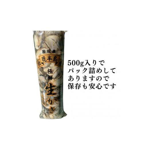 ふるさと納税 牡蠣 生牡蠣 宮城県 - 宮城県牡鹿半島産　鮮生牡蠣　500g×3_牡蠣 かき カキ 生牡蠣 海鮮 魚介 美味しい 人気 大容量 1550906_3