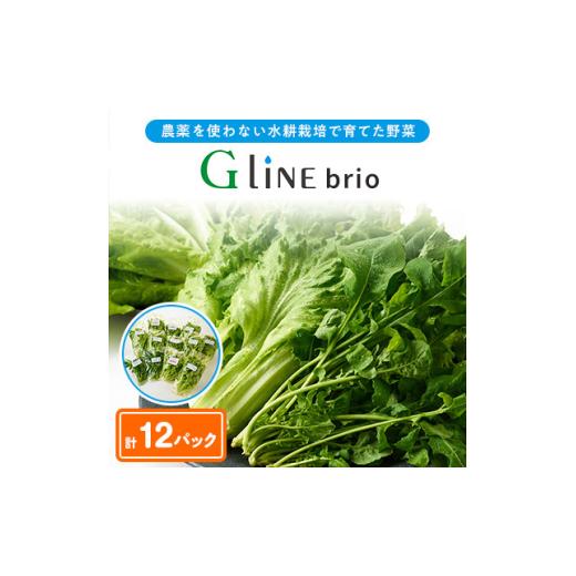 ふるさと納税 野菜類 兵庫県 太子町 毎月定期便 G Line brio レタス12パックセット全2回 4056842_1